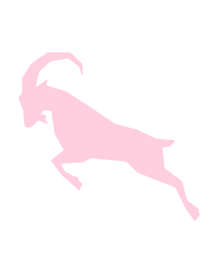 Interactive Skill Academy Logo